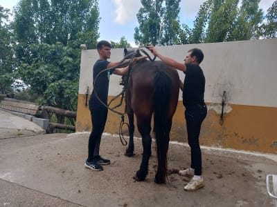 hipica hr - hipica in Barcelona