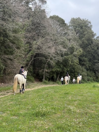 Ece Golden Andalusian Horses SL - hipica in Dosrius
