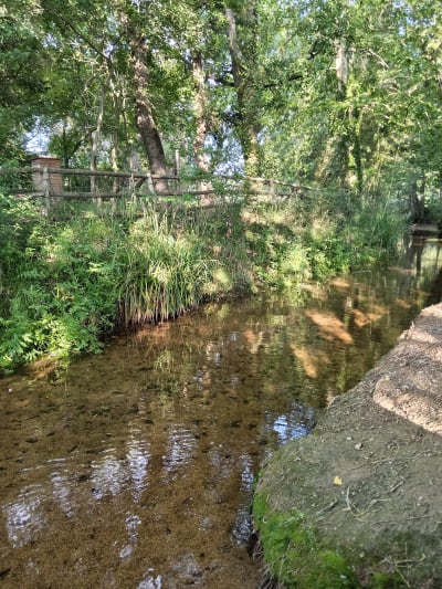 Cal Traginer - hipica in Vidreres