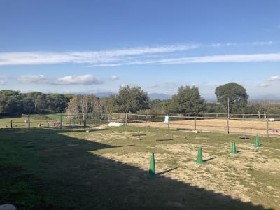 Cavall I Natura - hipica in Vidreres