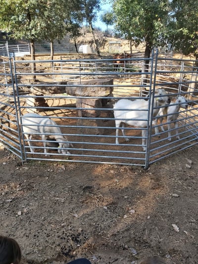 El Xaragall - hipica in Llinars del Vallès