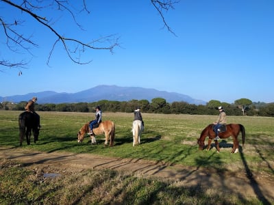 A cavall pel Montseny - hipica in Santa Maria de Palautordera