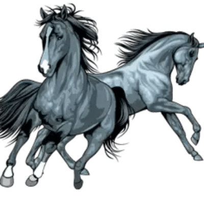 Kentucky Ranch - hipica in Argelès-sur-Mer