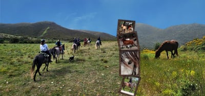 Les Chevauchées Catalanes/Yeguada Yala - hipica in Argelès-sur-Mer