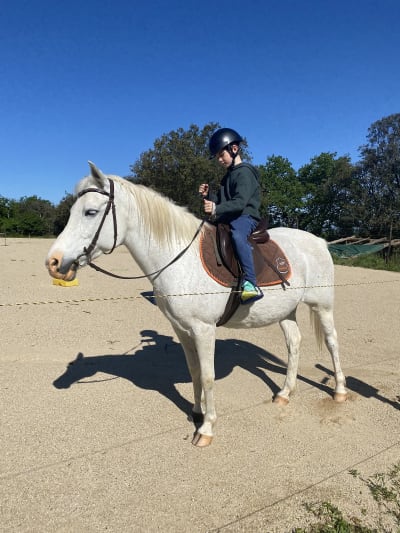 Ecurie del Sol - hipica in Laroque-des-Albères