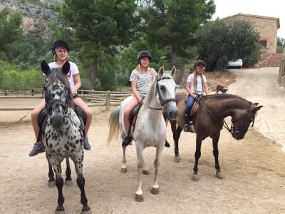 Las Rocas - hipica in Les Planes del Rei