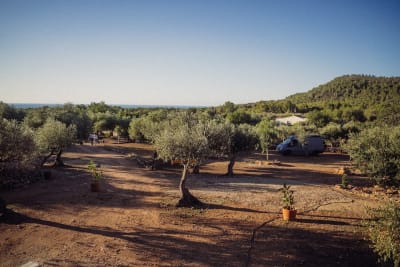 Privado Casa de las Mariposas Garden - hipica in Mont-roig del Camp