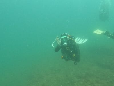 M. Rota Diving - hipica in Torredembarra