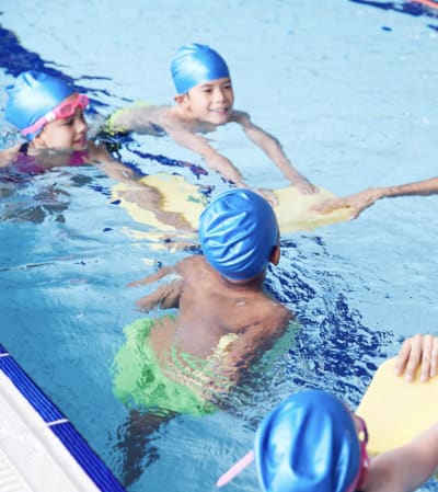 Crol Escola de Natació - hipica in Terrassa