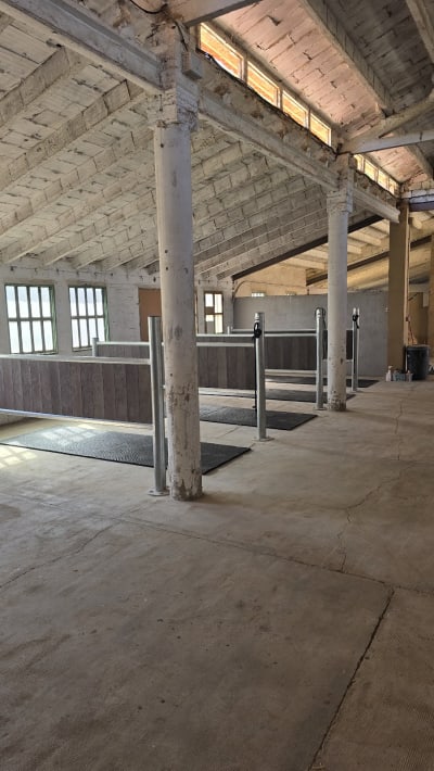 Hipica Morera dressage - hipica in Polinyà