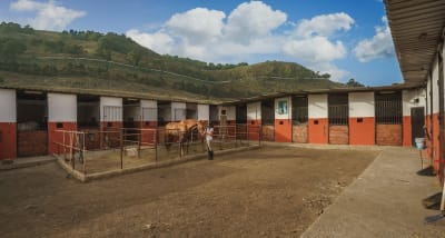 Centro Hípico Gran Canaria - hipica in Las Palmas de Gran Canaria
