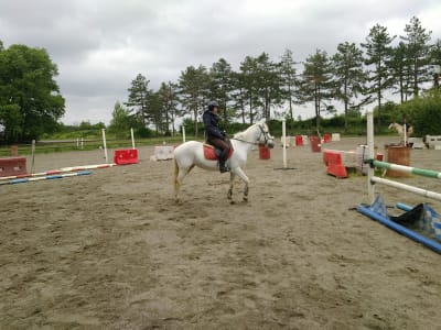 Le Haras de Fleyres - hipica in Bretx