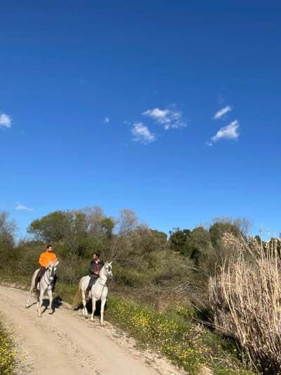 Hípica Finca la Criolla - hipica 