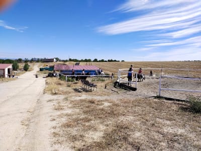 Club hipico el recuerdo - hipica in Novés