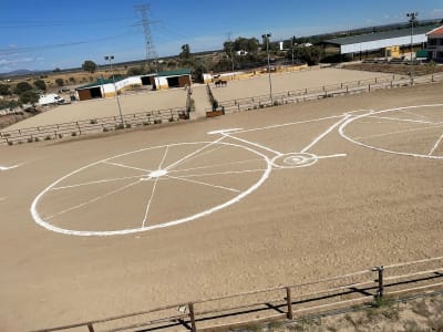 Centro hípico el Carrizal - hipica in Pepino