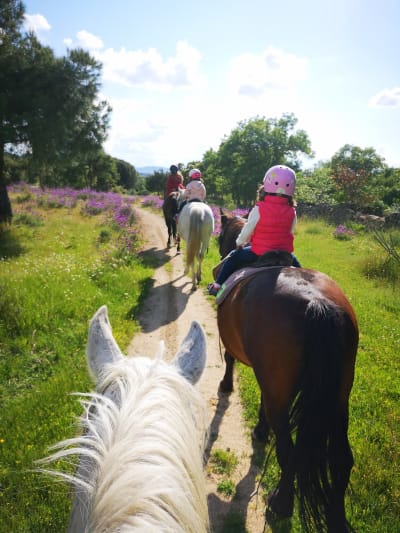 Hípica Pegaso - hipica in Santa María del Tiétar