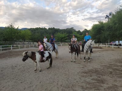 Club Hípico Valle del Tiétar - hipica in Piedralaves