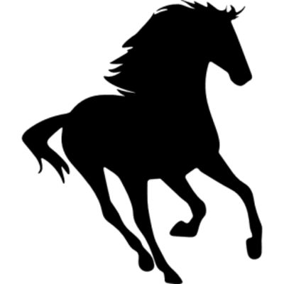 Dehesas Extremeñas Centro Ecuestre - hipica in Navalmoral de la Mata