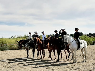 Cipri Hipica Comotu - hipica in Navalcarnero