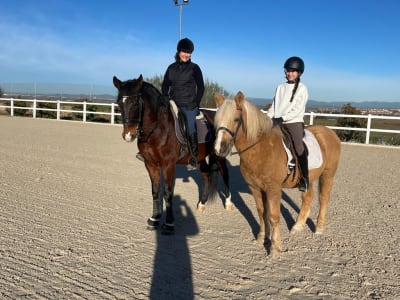 Equestrian Center Sun Point 26 - hipica 