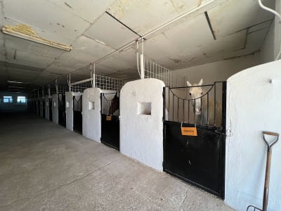 Hípica El Corcel - hipica 