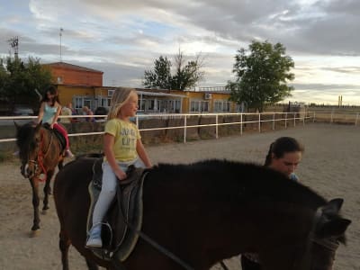 Centro Hípico La Granja - hipica in Numancia de la Sagra