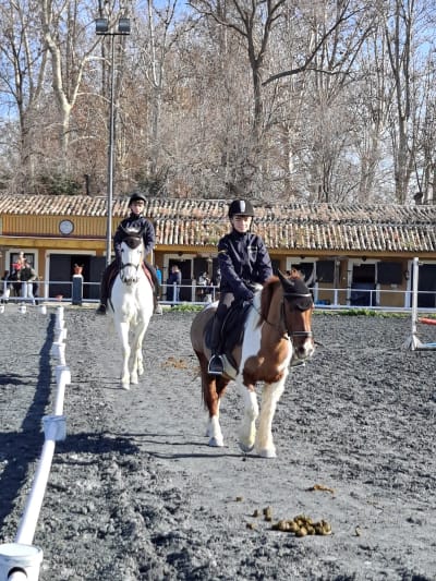Finca los Pinos - hipica in Aranjuez
