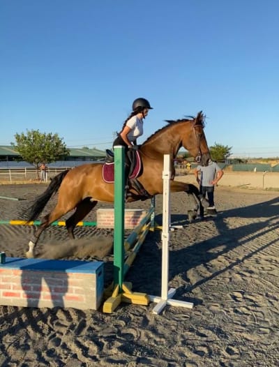 Hipica La Huerta - hipica in Griñón