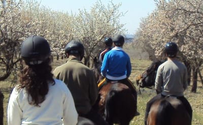 CUADRA BELLA VISTA - hipica in Aranjuez