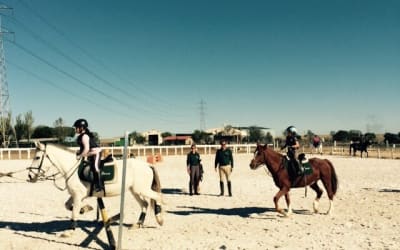 Equestrian Los Angeles - hipica in Getafe