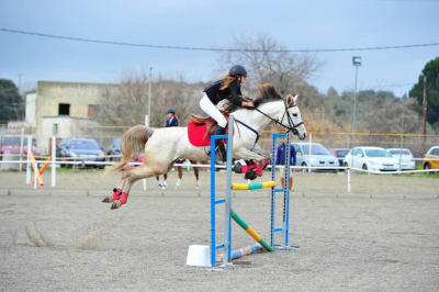 Hípica Señora Maria - hipica in Navalcarnero