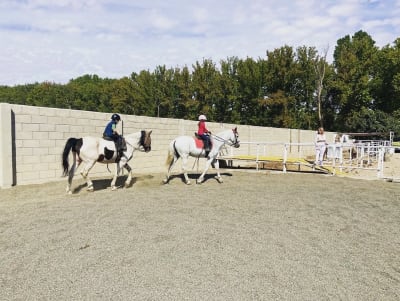 Hípica El Cortao, Asociación - hipica in Aranjuez