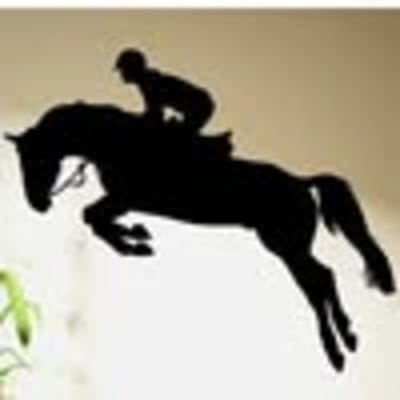 Hípica las eras - hipica in Real Cortijo de San Isidro