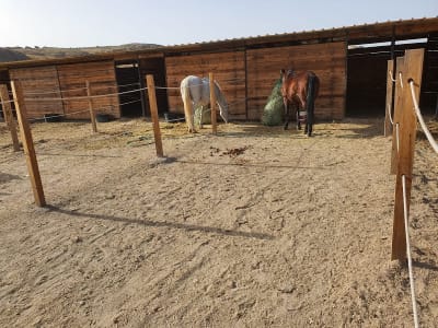 Hípica Revoque - hipica in Chinchón