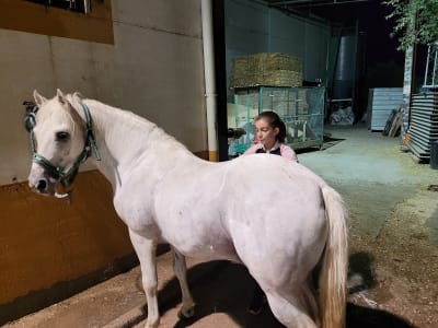 Hípica Los Carmelos - hipica in Ocaña