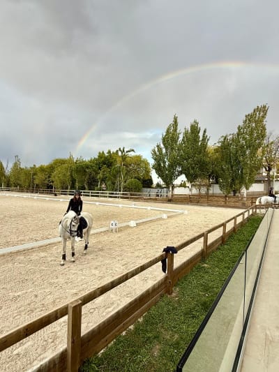 Club Hípico Somosaguas - hipica in Pozuelo de Alarcón