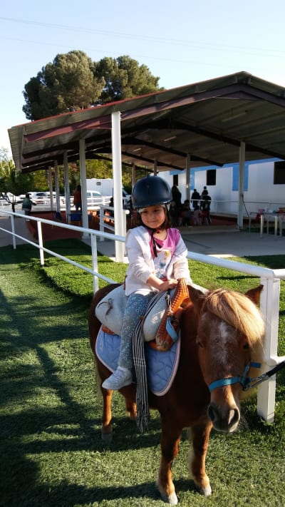 Doma Clásica Juan Antonio Jiménez - hipica in Torrejón de Ardoz