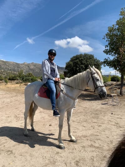Pasture Warrior S L - hipica in Becerril de la Sierra