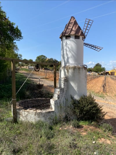 Finca El Carrizal - hipica in Belinchón