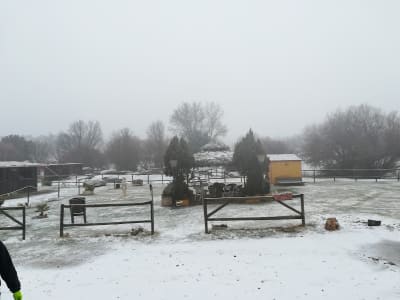 Centro Hípico La Fresneda - hipica in Madrid