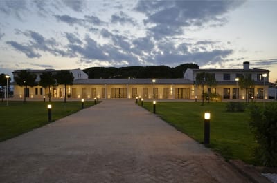 FINCA EL PINAR - hipica in Codorniz