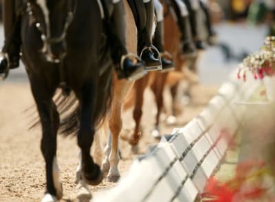 SJR Equitación - hipica in Batres