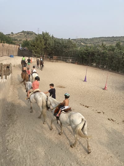Equinoterapia Alecliba - hipica in Arganda del Rey