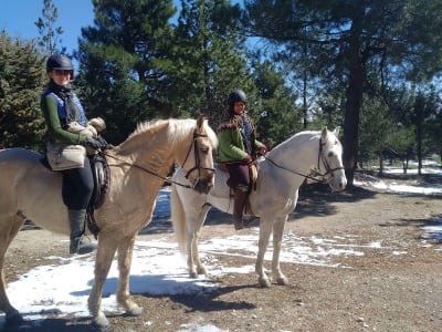 Caminos de Herradura - hipica 