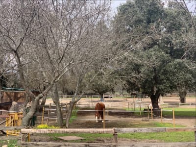 Hípica Sierra De Madrid - hipica in Collado Villalba