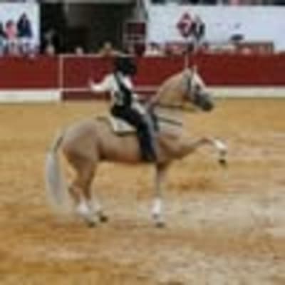 Rancho Saray - hipica in Villa del Prado