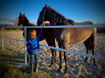 Hípica Montetria - hipica in Villamanta