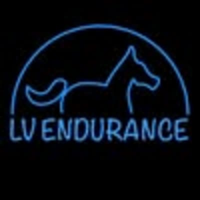 Finca LV endurance - hipica in Valdepiélagos