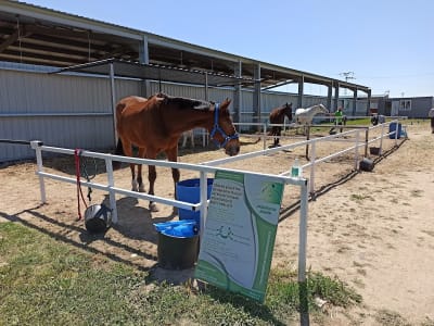 Ecrin Terapias - hipica in Fuente el Saz de Jarama