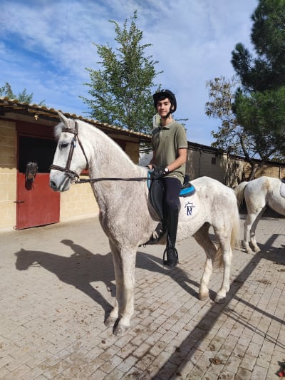 Hípica Prado de Viñuelas - hipica 